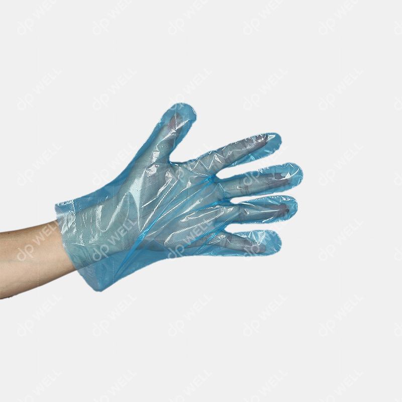 Disposable Food Grade CPE Gloves,Style No.6403
